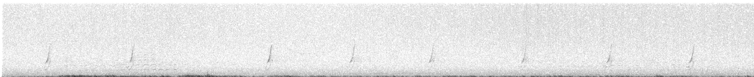 斑胸秧雞 - ML617298581