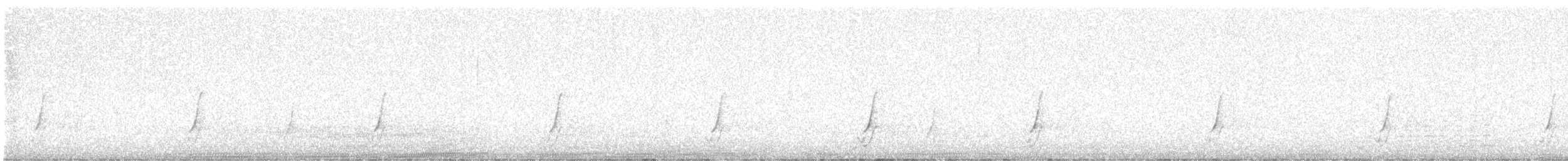 斑胸秧雞 - ML617298724