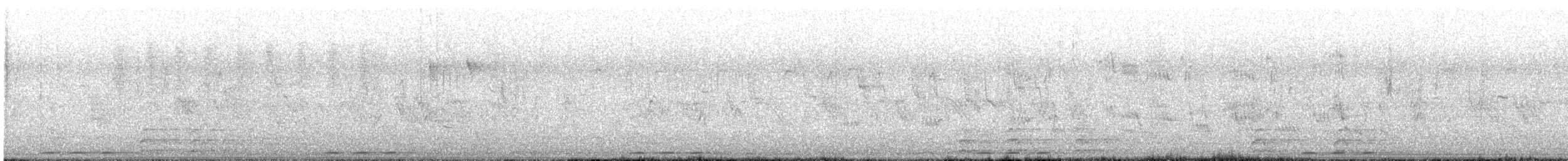 hærfugl (epops gr.) - ML617299123