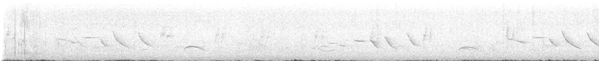 White-crested Elaenia - ML617299352