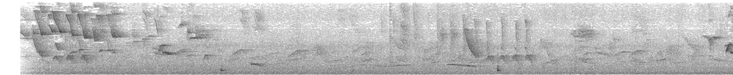 Trogon rosalba (aurantiiventris/underwoodi) - ML617300801