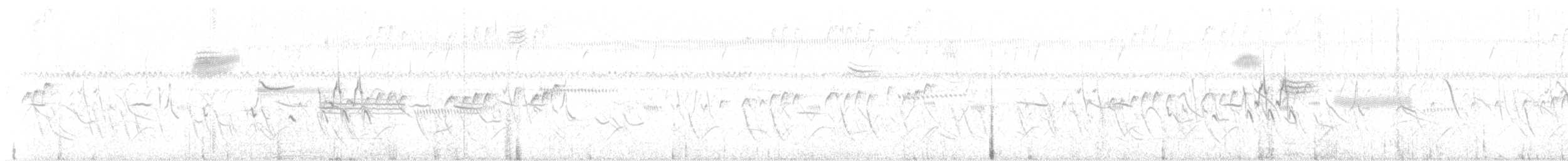 Grassland Sparrow - ML617301964