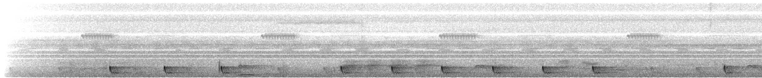 Large-tailed Nightjar - ML617304015