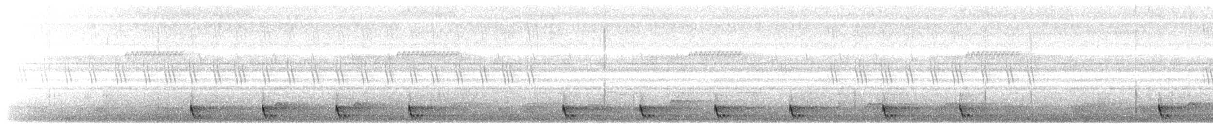 Large-tailed Nightjar - ML617304016