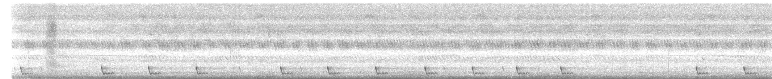 Large-tailed Nightjar - ML617307177