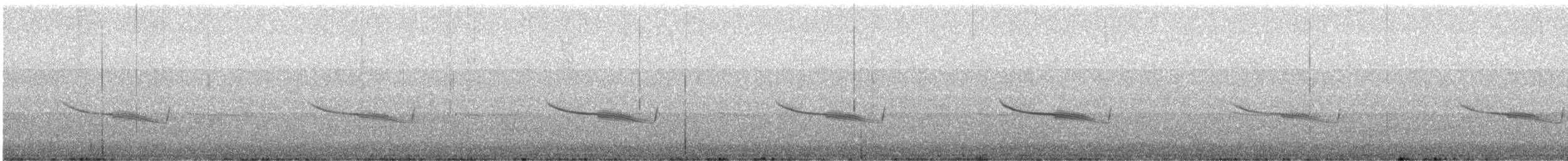 Breitspiegel-Nachtschwalbe - ML617308610