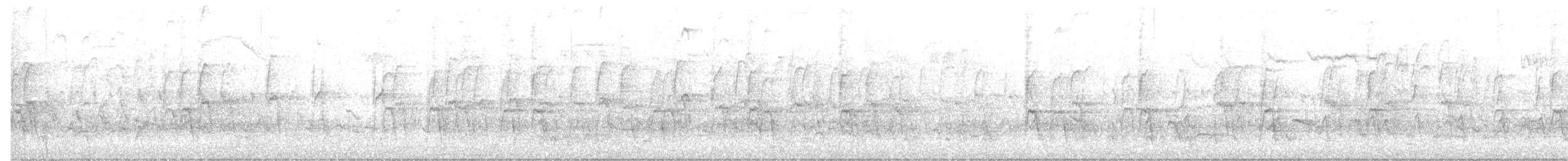 American Robin - ML617309146