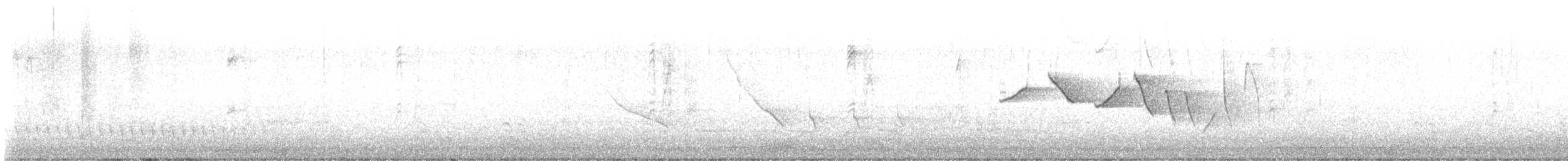 Трясогузковый певун - ML617309415