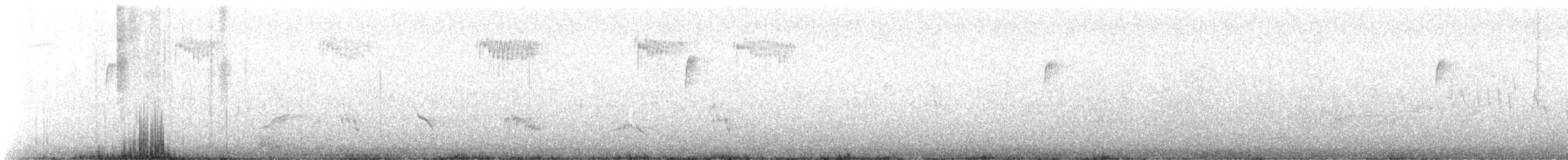 Northern House Wren - ML617309933