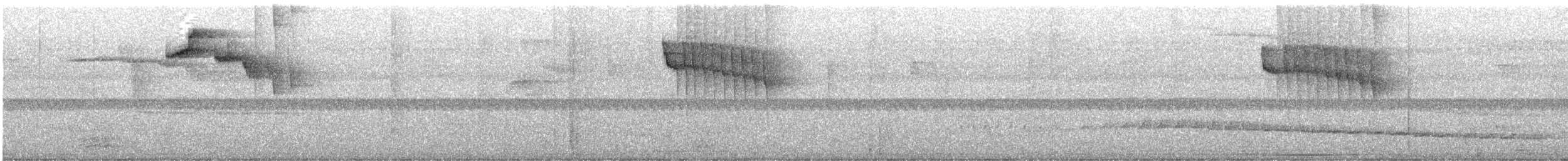 Braunschwanzamazilie [tzacatl-Gruppe] - ML617311062