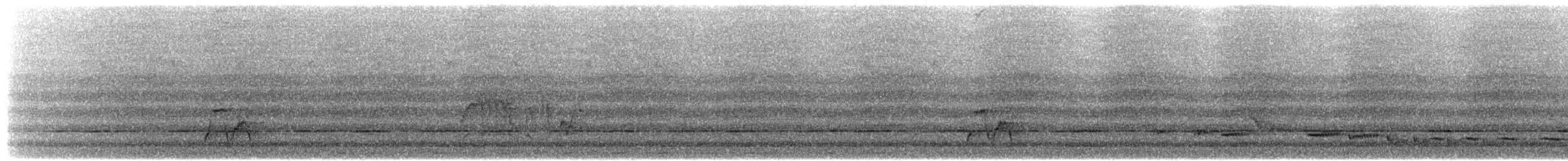 White-browed Shama - ML617312949