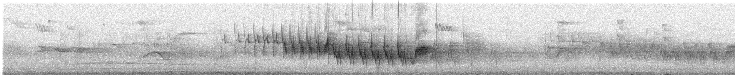 פרוש מצוי - ML617313385