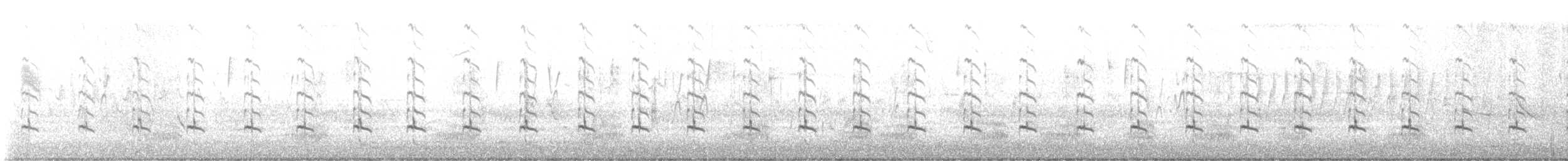 ביצנית עקודה - ML617313433