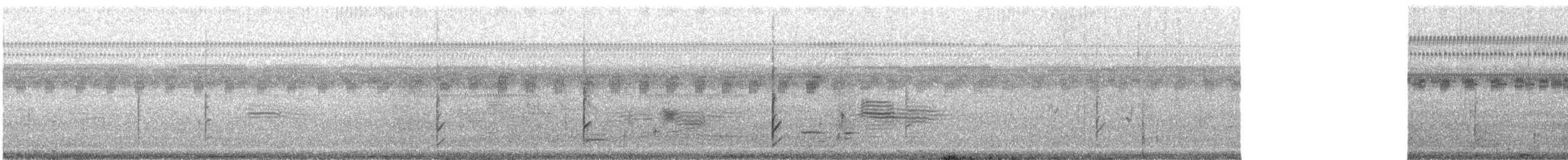 Pinnated Bittern - ML617317961