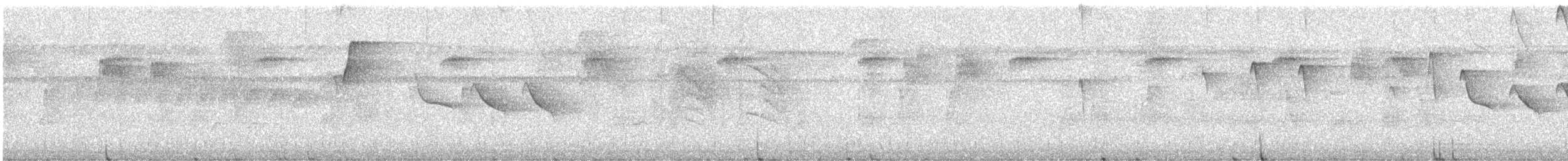 Russet Antshrike - ML617319837