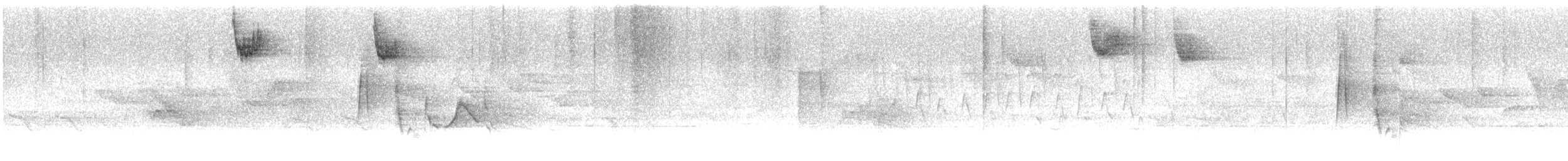 Белогорлая зонотрихия - ML617320003