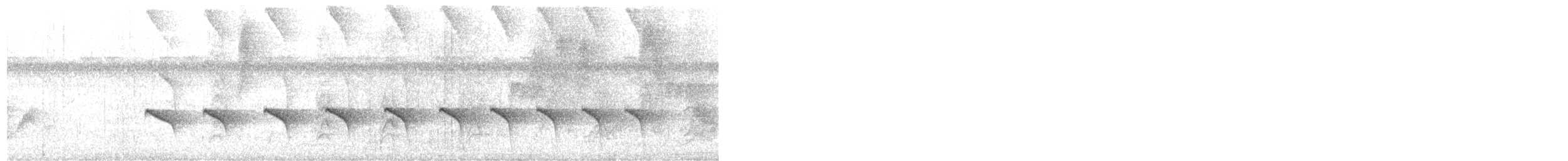Nacktstirn-Ameisenvogel - ML617321463