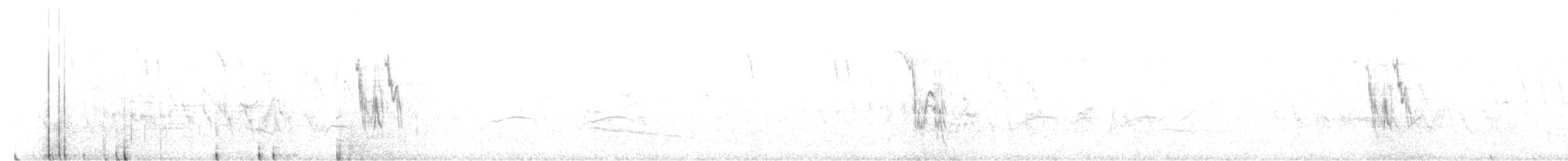 White Wagtail - ML617322708