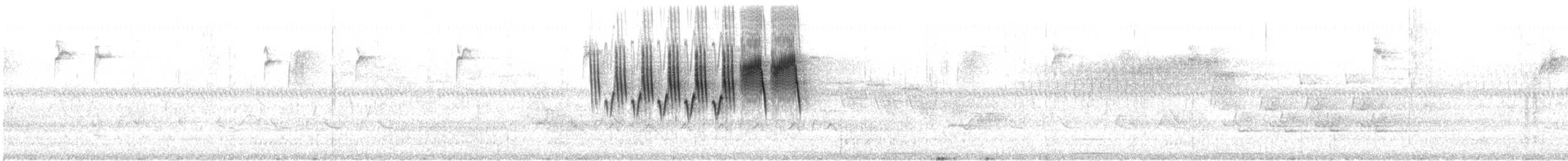 Northern Parula - ML617326522