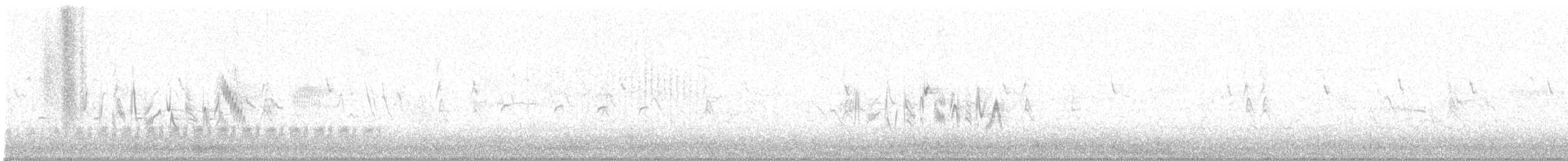 Cactus Wren - ML617326644