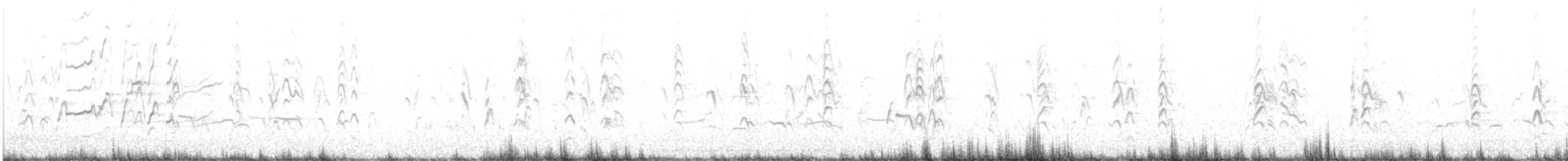 Kara Karınlı Islıkçı Ördek - ML617328448