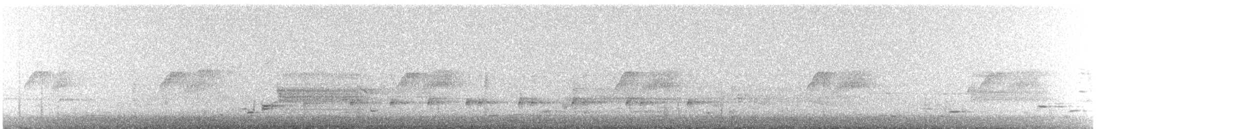 Virginia Rail - ML617332557