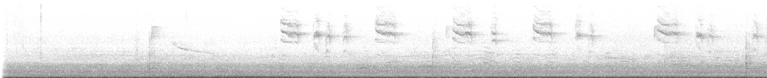 nordmyggsmett (caerulea) - ML617333278