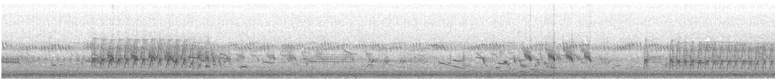 Ladder-backed Woodpecker - ML61733331