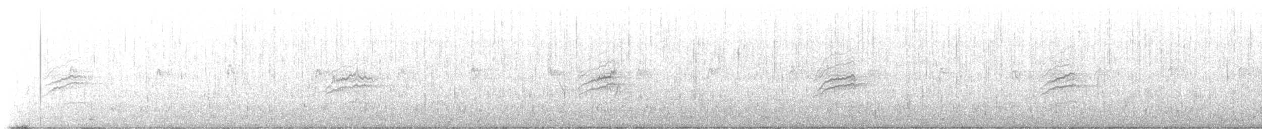 Hermit Thrush - ML617333995