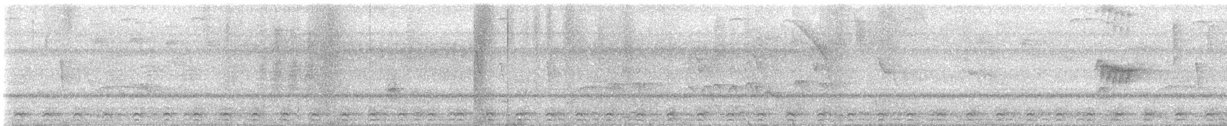 Аспиднохвостый трогон - ML617338005