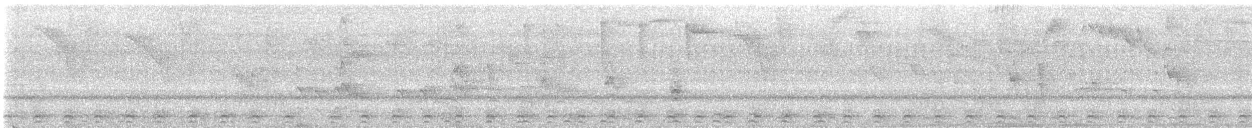 Slaty-tailed Trogon - ML617338007