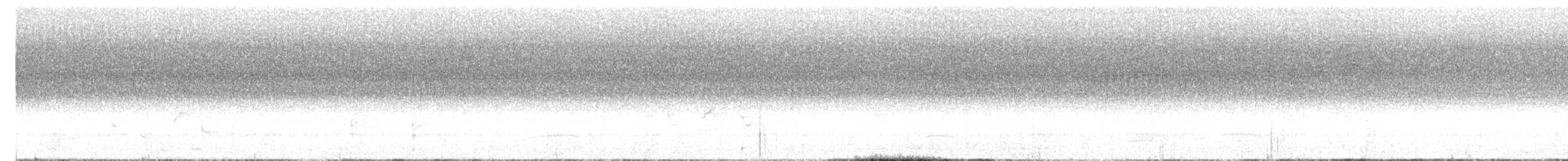 White-cheeked Barbet - ML617340865