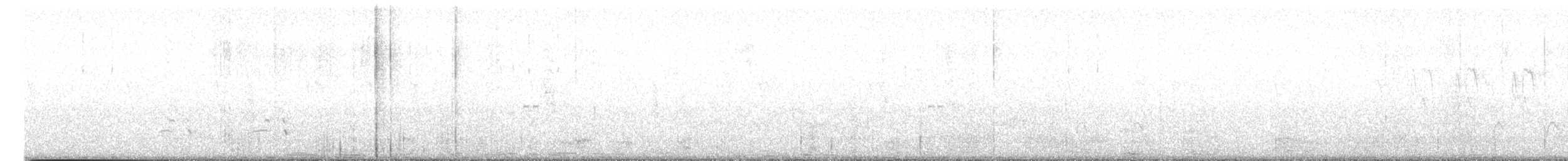 Cuitlacoche Ocelado - ML617342772
