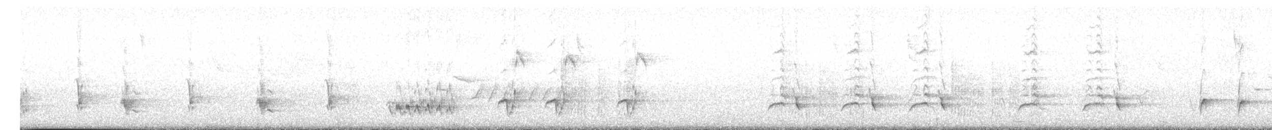 Cuitlacoche Ocelado - ML617342892