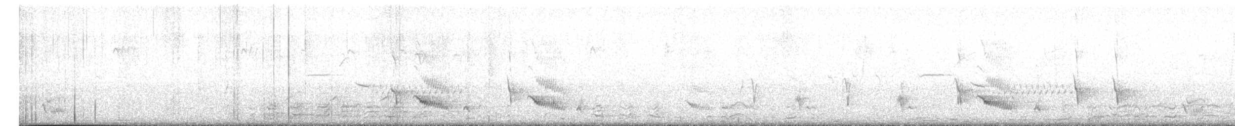 Cuitlacoche Ocelado - ML617343137