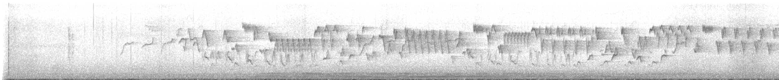 מלכילון אמריקני - ML617343589