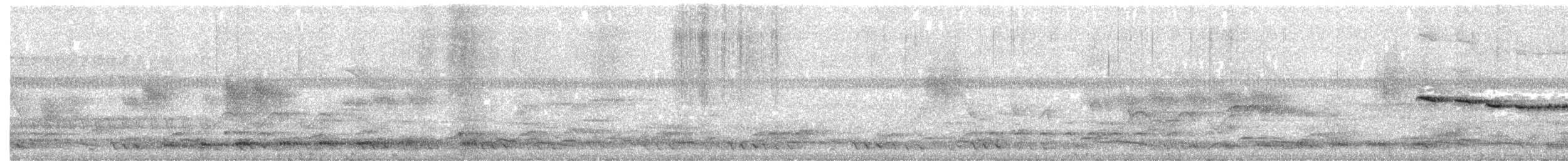 Серый павлиний фазан - ML617351651