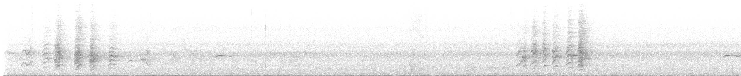 Сверкающий дронго - ML617352163