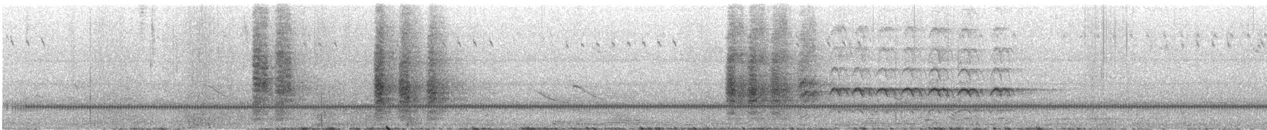 Сверкающий дронго - ML617353503