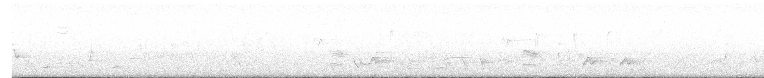 Cuitlacoche Ocelado - ML617355569
