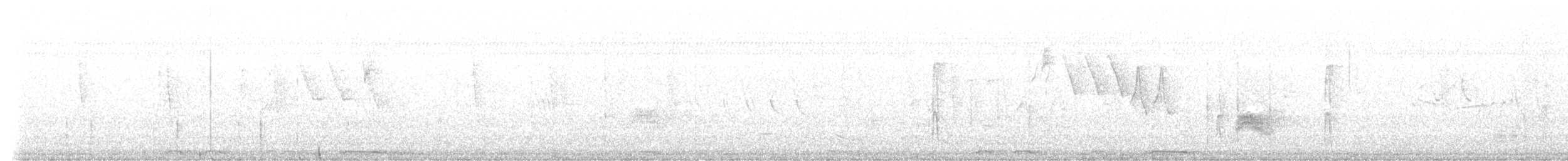 Серогрудый тиранн - ML617359687