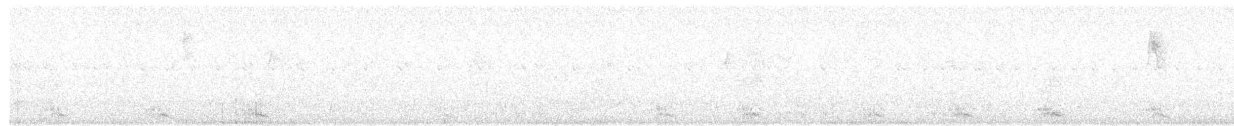 holoubek modrooký - ML617360637