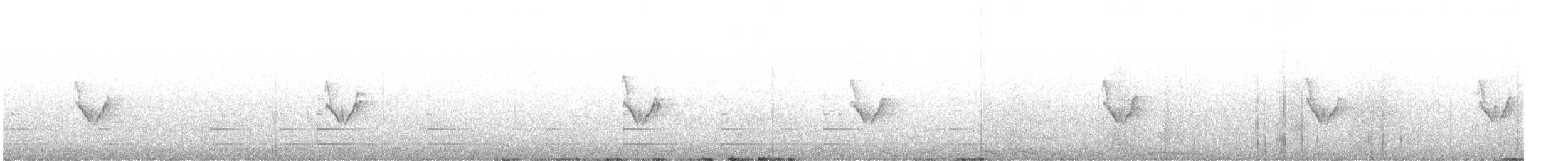 Белокрылая канделита - ML617361759