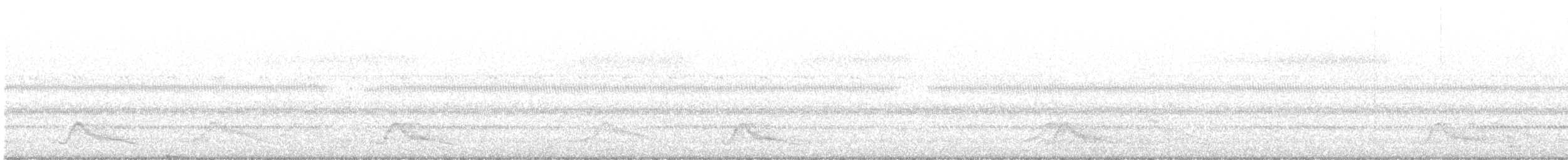 Pauraquenachtschwalbe - ML617364890