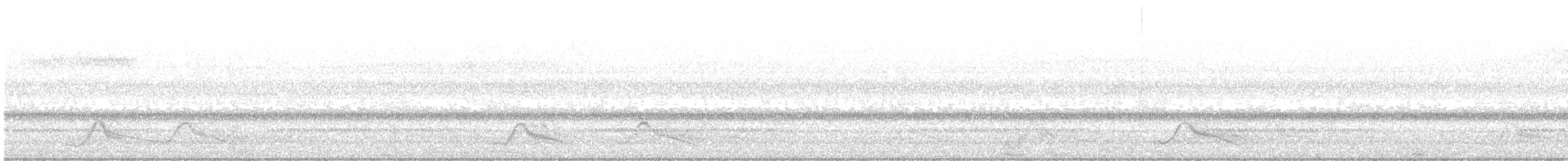 Pauraquenachtschwalbe - ML617364891