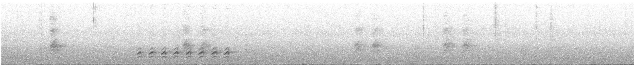 Sittelle à poitrine blanche (groupe lagunae) - ML617364896