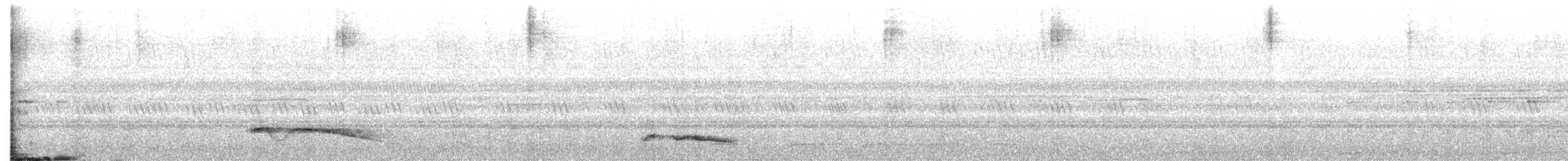 Riesennachtschwalbe - ML617365107