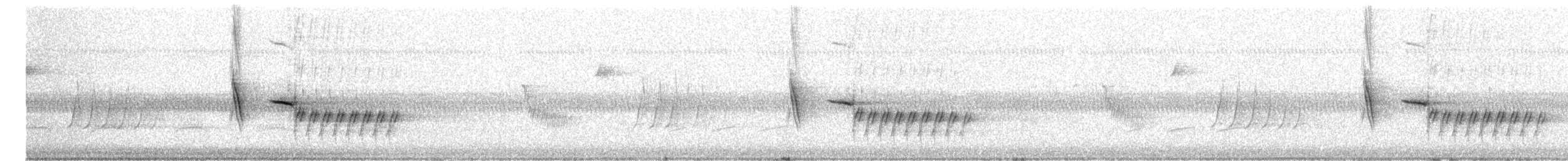 Rötelgrundammer (erythrophthalmus/canaster) - ML617367112