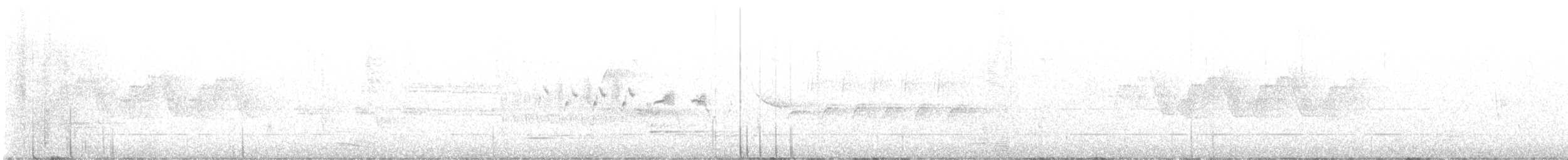 Black-throated Gray Warbler - ML617369330