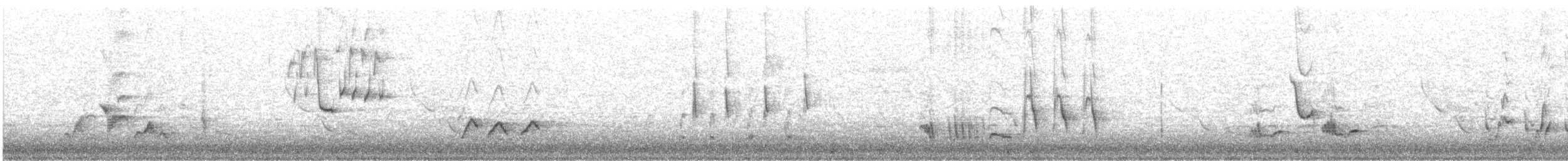 Brown Thrasher - ML617375654